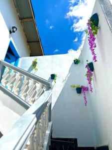 una escalera con flores en el lateral de un edificio en Bel appartement avec petit balcon sympa en Porto-Novo