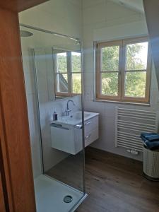 a bathroom with a sink and a glass shower at Ferienwohnung Meyer Obergeschoss in Weißenburg in Bayern