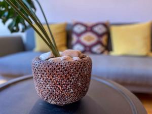 Fotografie z fotogalerie ubytování Casa Elegancia, Pleta de Saga v destinaci Ger