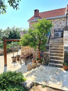 Zahrada ubytování Stone house Goranova kuća