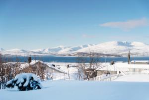Fotografie z fotogalerie ubytování Aurora and midnight sun v destinaci Tromsø