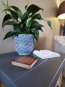 a plant in a blue and white vase on a table at Private Apartment for business and leisure Pretoria East in Pretoria
