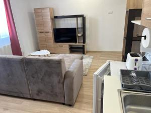 a living room with a couch and a television at Sabina Apartaments in Sfântu-Gheorghe