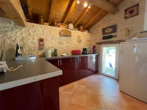 a kitchen with a counter and a refrigerator at Gouillette in Saint-Pey-de-Castets