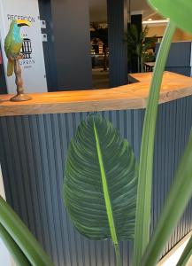 a green leaf painted on the side of a counter at URBAN Pensión in Melide