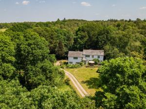 an old house in the middle of the forest at Primrose Spinney in Ringwood