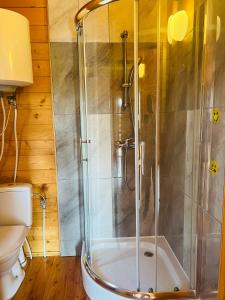 a shower with a glass door in a bathroom at Lazur domki wypoczynkowe in Dźwirzyno
