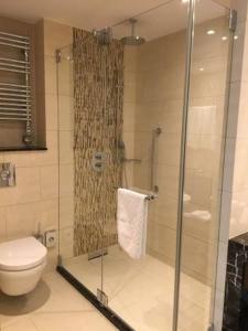 bagno con doccia in vetro e servizi igienici di ANNPURNA RESIDENCY a Datia