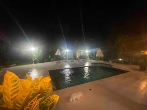 a dog laying next to a swimming pool at night at Casa Praia Guaratuba - Bertioga in Bertioga