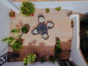 una vista aérea de un muro con plantas en Casa Quetzal, en San Miguel de Allende