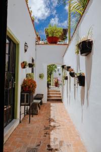 Gallery image of Casa Quetzal in San Miguel de Allende