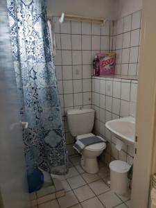 a small bathroom with a toilet and a sink at Kea Guesthouse in Ioulida