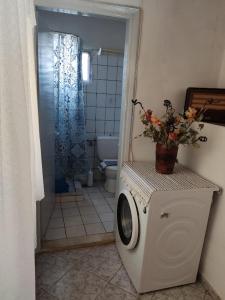 a bathroom with a shower and a washing machine at Kea Guesthouse in Ioulida