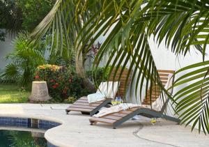 a chair sitting next to a pool next to a palm tree at Casa Iola in Cancún