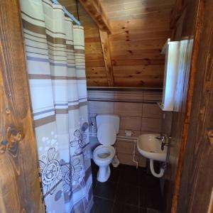 a small bathroom with a toilet and a sink at Wooden cottage Podgora in Žabljak +10 photos