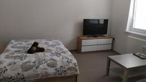 Zimmer mit einem Bett, einem TV und einem Tisch in der Unterkunft BYT POD ZÁMKEM in Valtice