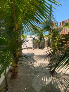 Foto sihtkohas Progreso asuva majutusasutuse Playa Arena galeriist