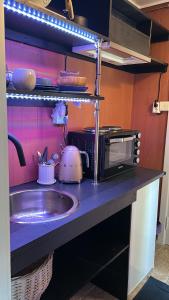 W kuchni znajduje się umywalka i kuchenka mikrofalowa. w obiekcie The View Guesthouse at Ekeberg -10 min by tram to Oslo S w Oslo