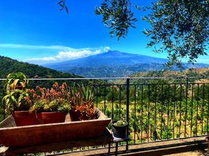 A general mountain view or a mountain view taken from Az apartmant