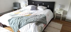 ein Schlafzimmer mit einem großen Bett mit einer Decke darauf in der Unterkunft Appartement spacieux cosy centre Epinal !!! in Épinal