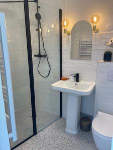 a bathroom with a shower with a sink and a toilet at Venez Vernou 