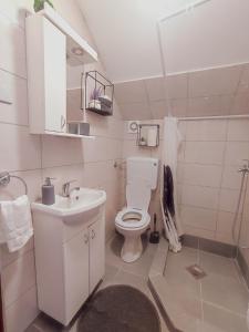 ein kleines Bad mit WC und Waschbecken in der Unterkunft Vikendica pod kulom in Vršac