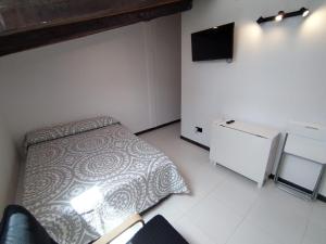 a bedroom with a bed and a tv in it at Estudio Centro - Puerta del Sol in Madrid