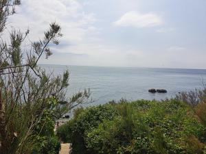 Gallery image of Sylvan Seas in Ventnor