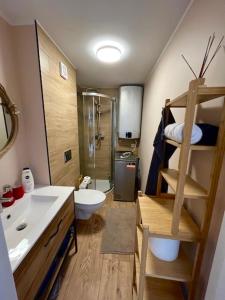 een badkamer met een wastafel, een toilet en een douche bij Domek ,, Daglezja ” in Dziwnów