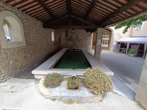 Saint-Maurice-sur-Eygues的住宿－Entre Vignes et Oliviers，一座有两株植物的建筑中的游泳池
