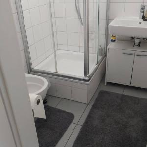 ein Bad mit einer Dusche, einem WC und einem Waschbecken in der Unterkunft Beauty Apartment near Messe City and Airport with Garden in Köln