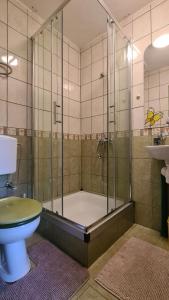 een badkamer met een douche, een toilet en een bad bij Agroturystyka „U Rzeźbiarza” in Sławno