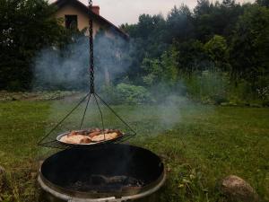 a grill with a plate of food on it at Wiejski Domek na Roztoczu 