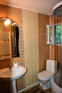 a bathroom with a sink and a toilet and a mirror at Pensiunea Sorina Deea in Bicazu Ardelean