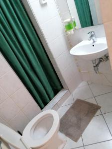 łazienka z zieloną zasłoną prysznicową, toaletą i umywalką w obiekcie Split Ruža Apartment w Splicie