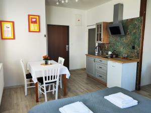 Kuchyň nebo kuchyňský kout v ubytování Apartmány Goliáš
