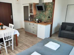 Kuchyň nebo kuchyňský kout v ubytování Apartmány Goliáš
