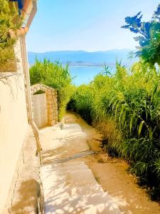 un sentiero che conduce a una casa con l'oceano sullo sfondo di Mila Pet friendly house with private beach place a Pag