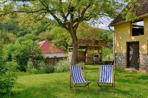 duas cadeiras sentadas na relva ao lado de uma casa em Zuzmó Guesthouse, Jósvafő, Aggtelek National Park - Stylish 150 year old farmhouse for 10 guests em Jósvafo