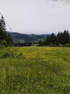 Pokrajina v okolici apartmaja