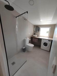 a bathroom with a shower and a toilet and a sink at A casa de Mateu in Pontevedra