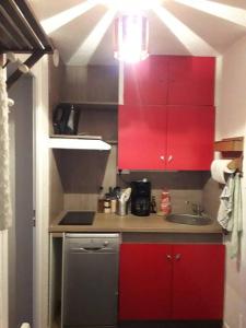 a small kitchen with red cabinets and a sink at Charmant T1bis pied des pistes à Vars les Claux Résidence les Fibieres in Vars