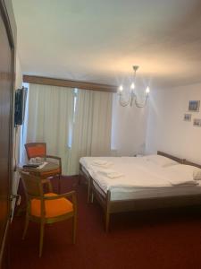 a bedroom with a bed and a table and chairs at Pensiunea Valea Pinului in Rau Sadului