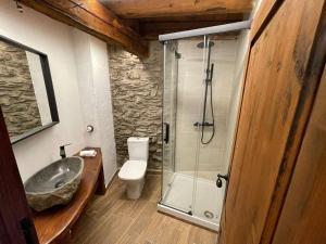a bathroom with a shower and a sink and a toilet at CAL SOLDAT in Os de Civís