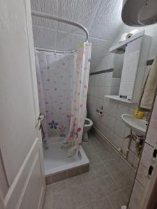 Kupatilo u objektu Studio Petrovac