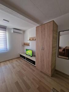 TV a/nebo společenská místnost v ubytování Studio Petrovac