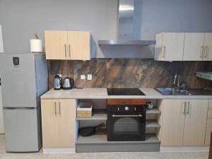 una piccola cucina con piano cottura e frigorifero di Kael Apartment a Teplice