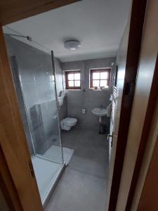 a bathroom with a shower and a toilet and a sink at Horský hotel Hájenka in Makov