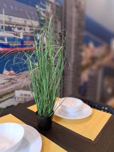 einer Topfpflanze auf einem Tisch mit zwei Platten in der Unterkunft 3miasto Gdynia Apartamenty in Gdynia