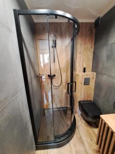 eine Duschkabine im Bad mit WC in der Unterkunft 3miasto Gdynia Apartamenty in Gdynia